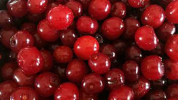 Cherry, fruits, fresh, water drops, red HD wallpaper