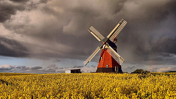 Windmill, Denmark HD wallpaper