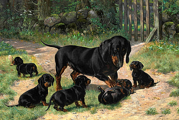Play in the Yard, puppies, mother, dogs, play HD wallpaper