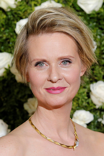Cynthia Nixon, Potential challenge, Familiar foe, The mayor HD phone wallpaper