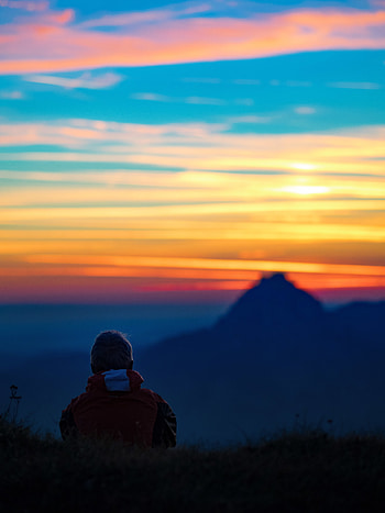 Nature, Horizon, Dark, Silhouette, Blur, Smooth, Evening, Loneliness HD phone wallpaper