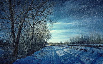 Landscape, Trees, Snow HD wallpaper