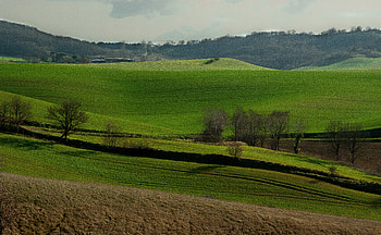 Nature, Grass, Field, France, Hills HD wallpaper