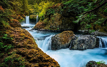 Forest Falls, moss, trees, waterfall, nature, rocks, forest HD wallpaper