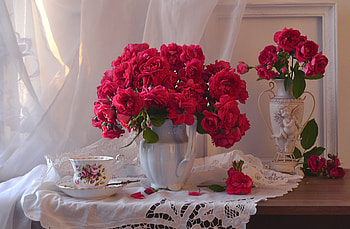 Still life, Flowers, Roses, Pitcher, Napkin, Cup HD wallpaper
