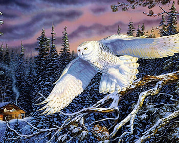 white owl, birds, owl, painting, animals HD wallpaper