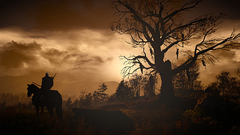 Artwork The Witcher 3 Wild Hunt, the-witcher-3, games, ps-games, xbox-games, pc-games, artwork HD wallpaper