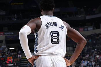 Grizzlies Defensive Anchor HD wallpaper