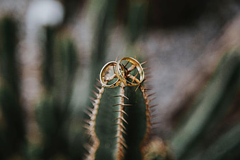 Love, Wedding, Rings HD wallpaper