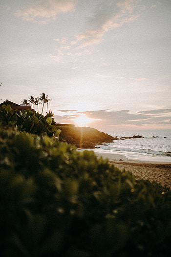 Landscape, Nature, Sunset, Beach, Summer, Ocean HD phone wallpaper