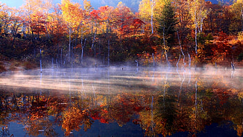 Autumn Mist, mist, fall colors, trees, lake HD wallpaper