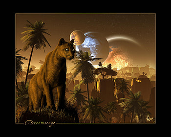 Dreamscape_by_Horhew, night, space, cat, fantasy HD wallpaper