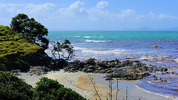 Waipu Cove, New Zealand, rocks, sea, trees, clouds, sky HD wallpaper
