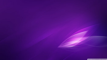 Purple 2966 HD wallpaper