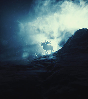 Animals, Stones, Mountains, Smoke, Shine, Light, Silhouette, Horns, Elk HD phone wallpaper