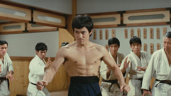 Fists Of Fury, fury, martial, arts, fists HD wallpaper