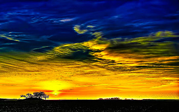 Blue Golden Dawn, blue, golden, sky, nature, land, sunset, tree HD wallpaper