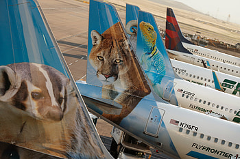 Frontier Airlines, Travel industry recovery, Positive outlook, The New York Times HD wallpaper