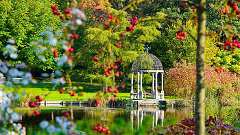 Springhead Gardens, Dorset, England, water, reflections, pond, trees, gazebo, flowers HD wallpaper