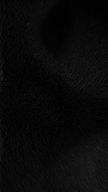 Plain Black, Black Color HD phone wallpaper