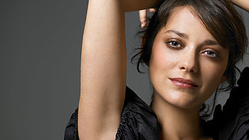 Top Marion Cotillard, Backgrounds, Filmography, Acting career HD wallpaper