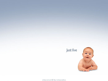 Just Live, baby, smart, saying, live HD wallpaper