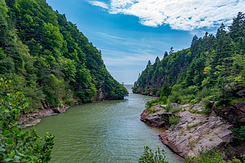 Nature, Water, Rivers, Trees, Rocks HD wallpaper