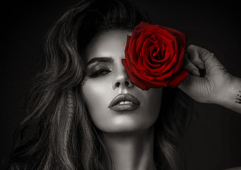 ღ, Face, Flower, Makeup, Rose HD wallpaper