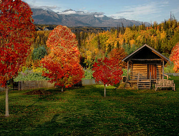 Painting, green, red, trees, autumn, tree HD wallpaper