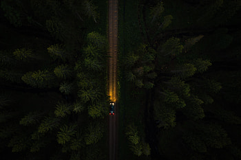 Nature, Trees, View From Above, Road, Car, Machine HD wallpaper