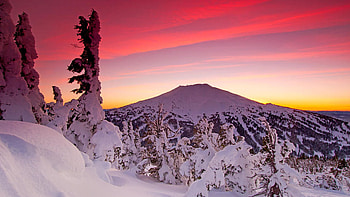 Mount Bachelor in Winter, Oregon, snow, colors, landscape, trees, sky, mountain, usa HD wallpaper