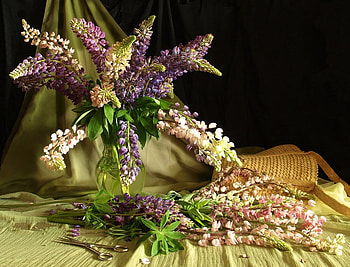 still life 1, art , still life, vase, glass, flowers, nice HD wallpaper
