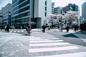 Pedestrians crossing a busy intersection in Nagawa, Japan with cherry blossoms and modern architecture. HD wallpaper