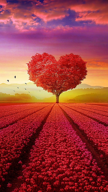 Beautiful For, Heart Tree HD phone wallpaper