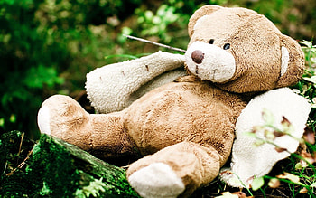 Nature, Miscellanea, Miscellaneous, Bear, Plush, Mood, Moods HD wallpaper