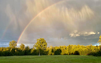 Rainbow and Rain, rainbow, rain, field, trees, Latvia HD wallpaper