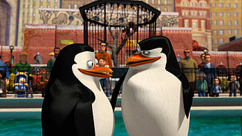 Madagascar, Movie HD wallpaper