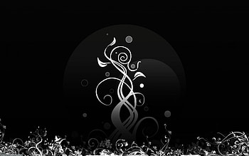 In Black Floral, white, black, abstract, floral, flowers HD wallpaper