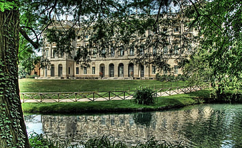 dynamic structure, trees, reflection, water, walkway HD wallpaper