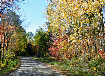 Fall Shadows, graphy, Forest, Fall, Road, Nature, Shadows, Sky HD wallpaper