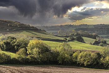 Landscape, Nature, Trees, Fields, Hills HD wallpaper