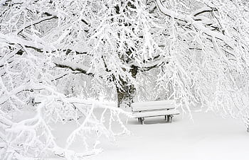 A peaceful snowy park scene with an empty bench surrounded by frosted trees. HD wallpaper