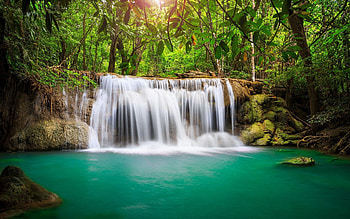 fond ecran nature cascade dans forêt exotique paysage HD wallpaper