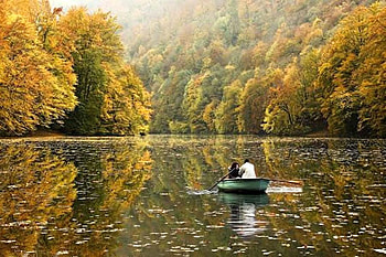 Autumn Trees, boat, , trees, autumn, beautiful, lake HD wallpaper