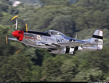 mustang, m, s, u, t HD wallpaper