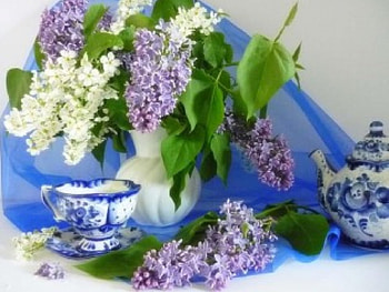 Sweet lilacs, blue, white, bouquet, aromatic, veil, cup, purple, still life, flowers, teapot, lilac HD wallpaper