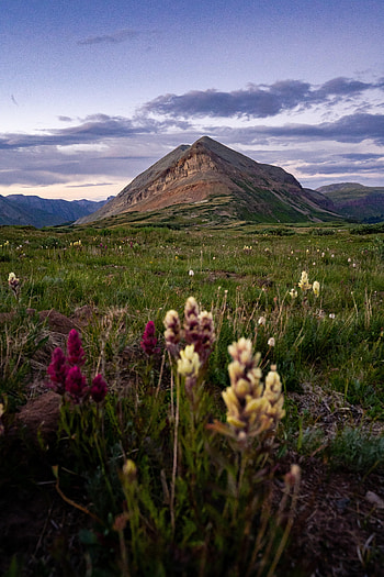 Landscape, Nature, Flowers, Grass, Mountain, Lawn HD phone wallpaper