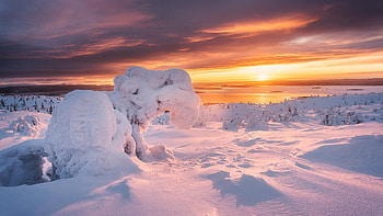 Polar dawn, Finland, snow, winter, frozen, clouds, colors, trees, sky HD wallpaper