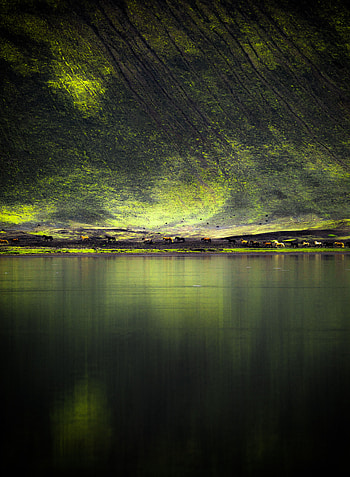 Nature, Horses, Lake, Shore, Bank, Hill HD phone wallpaper