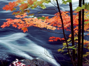 Oxtongue River, Ontario Canada, waterfalls, nature HD wallpaper